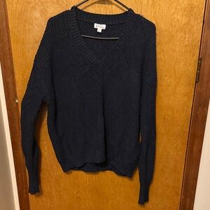 Market & Spruce Deep Blue V-Neck Sweater